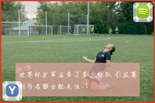 世界杯扩军后多了多少球队 引发赛制与名额分配关注_1