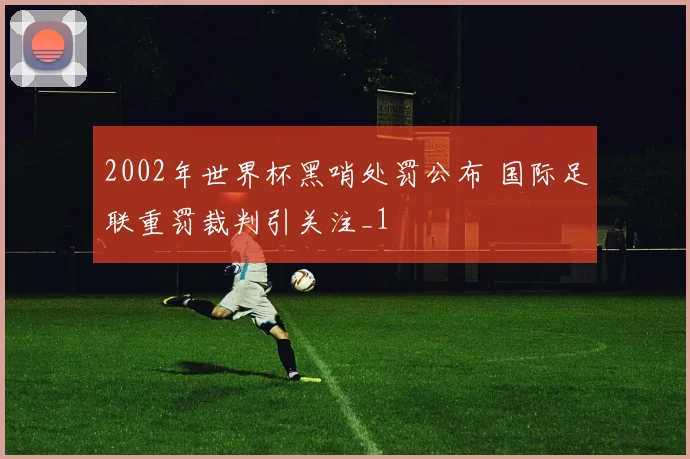 2002年世界杯黑哨处罚公布 国际足联重罚裁判引关注_1